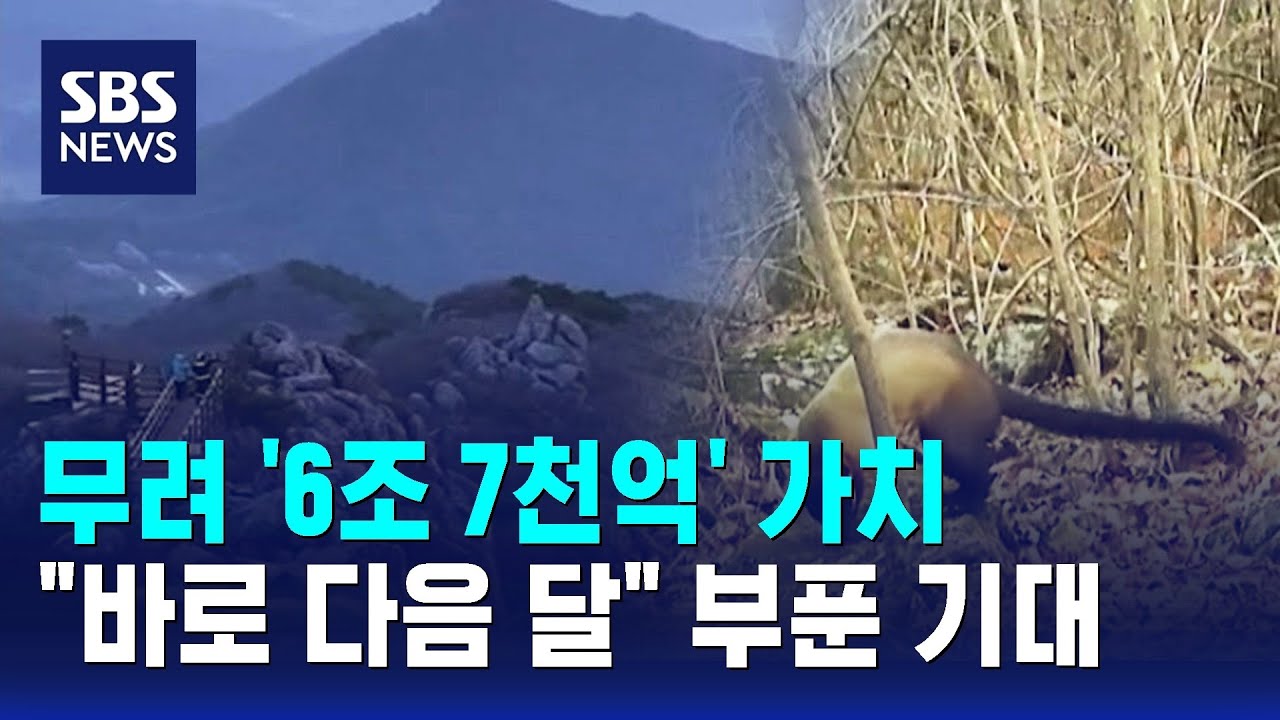 무려 '6조 7천억' 가치…