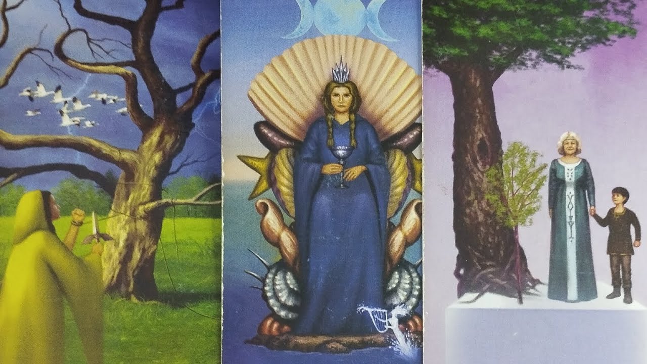 PARCERIAS DESTINADAS ❤️💫 013 🦋 TOMBARAM UMA RAINHA ACHANDO QUE NAO SE LEVANTARIA + OBSERVEM!💥