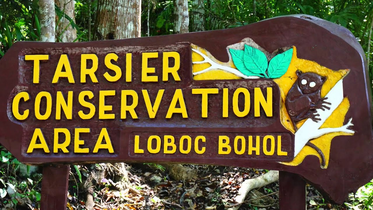 Bohol Philippines - Things to do & Tourist Spots