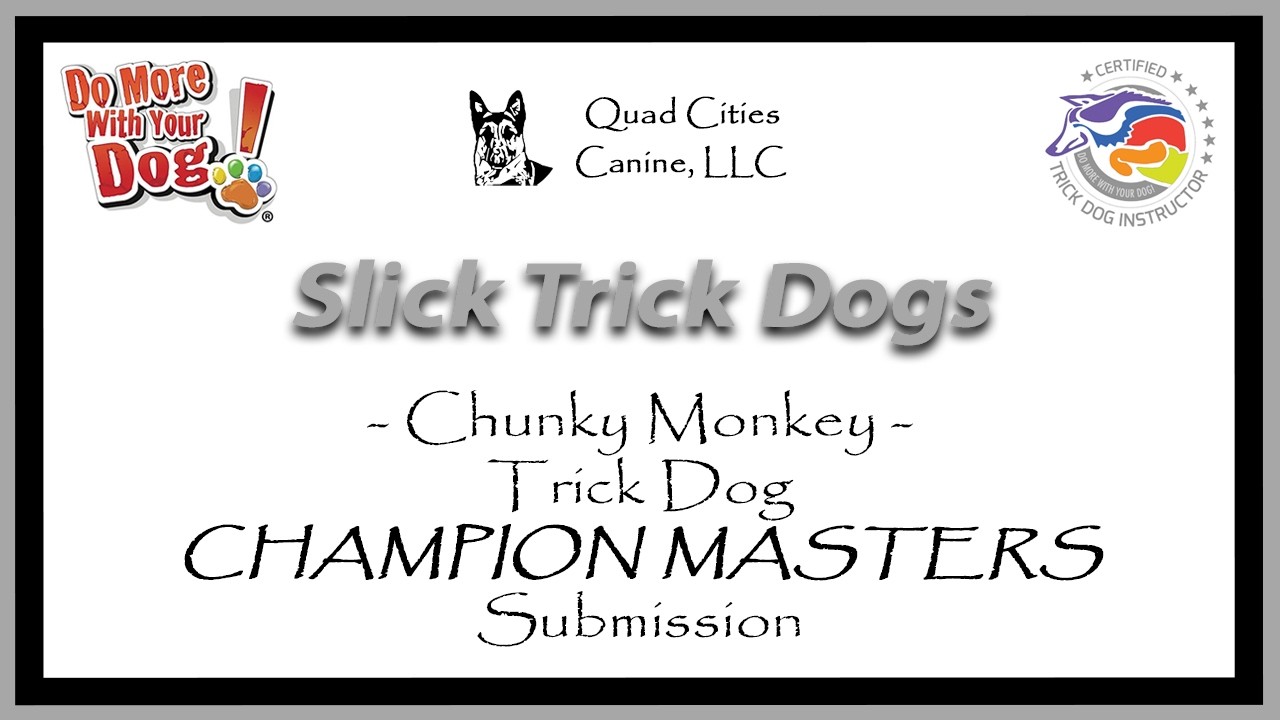 Chunky Monkey's Trick Dog Champion Masters Submission