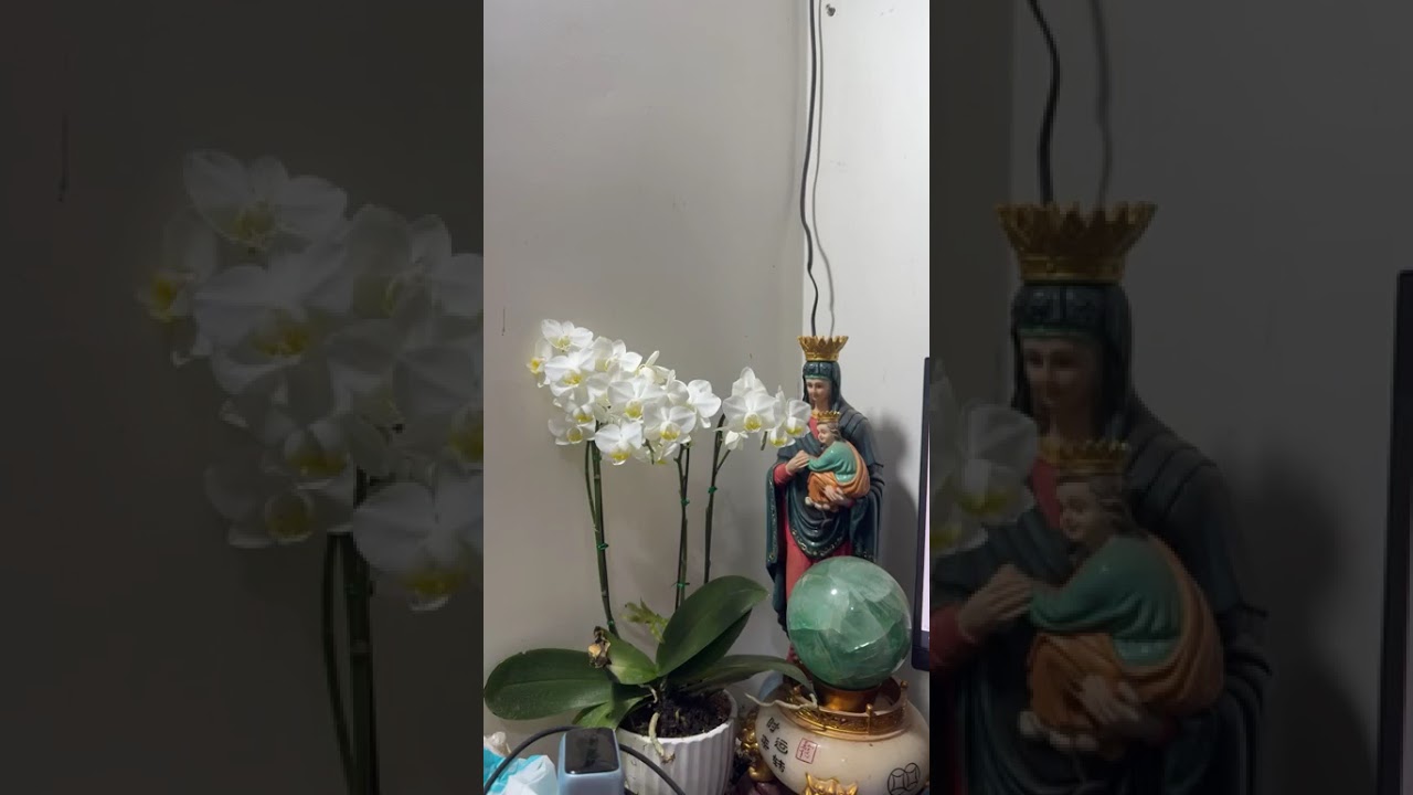 SỨ MẠNG TÌNH YÊU VÀ DẤU CHÂN CỦA NHỮNG MỤC TỬ - MẢI MÊ TÌM SỰ CÔNG NHẬN BÊN NGOÀI – Lm. Anmai, CSsR
