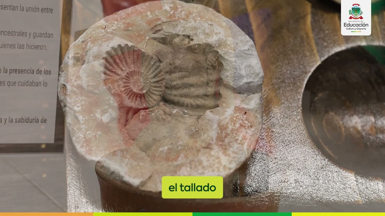 Exposición Entre Rocas y Raíces