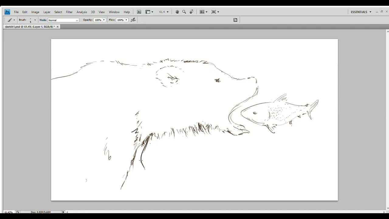 THE BOOK SHOPPE - SKETCHBOOK - Grizzly and fish sketch