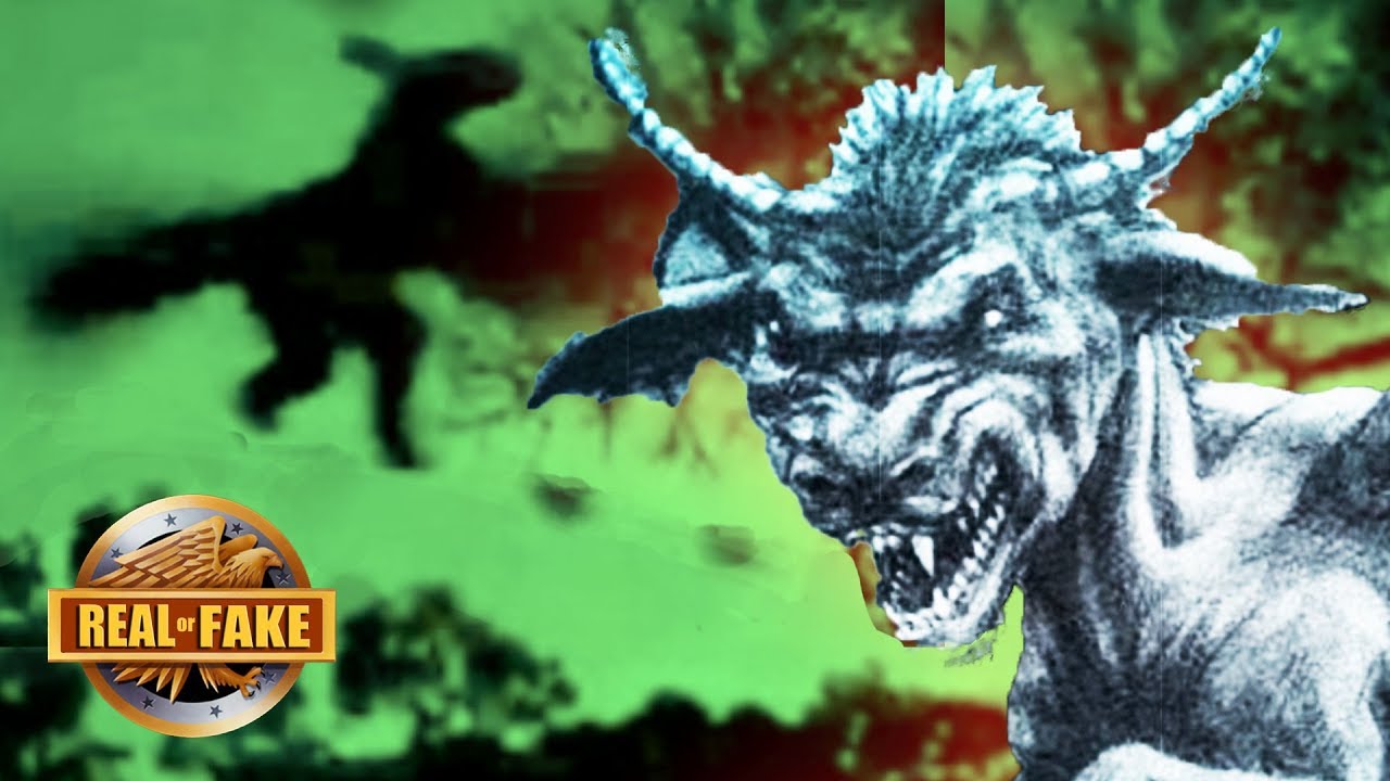 Real or Fake? The Jersey Devil + More