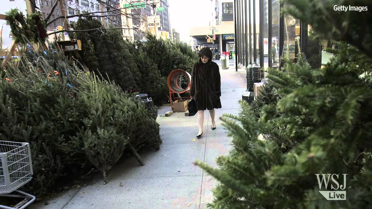 7 Tips to Pick & Keep the Perfect Christmas Tree