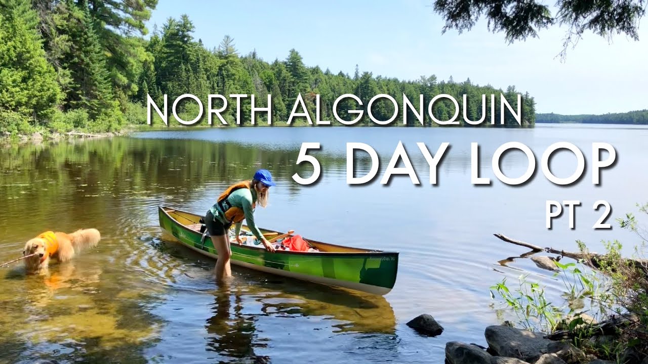 North Algonquin 5 Day Canoe Camping Loop, With Our Dog, Portaging, Swimming, Best Campsite