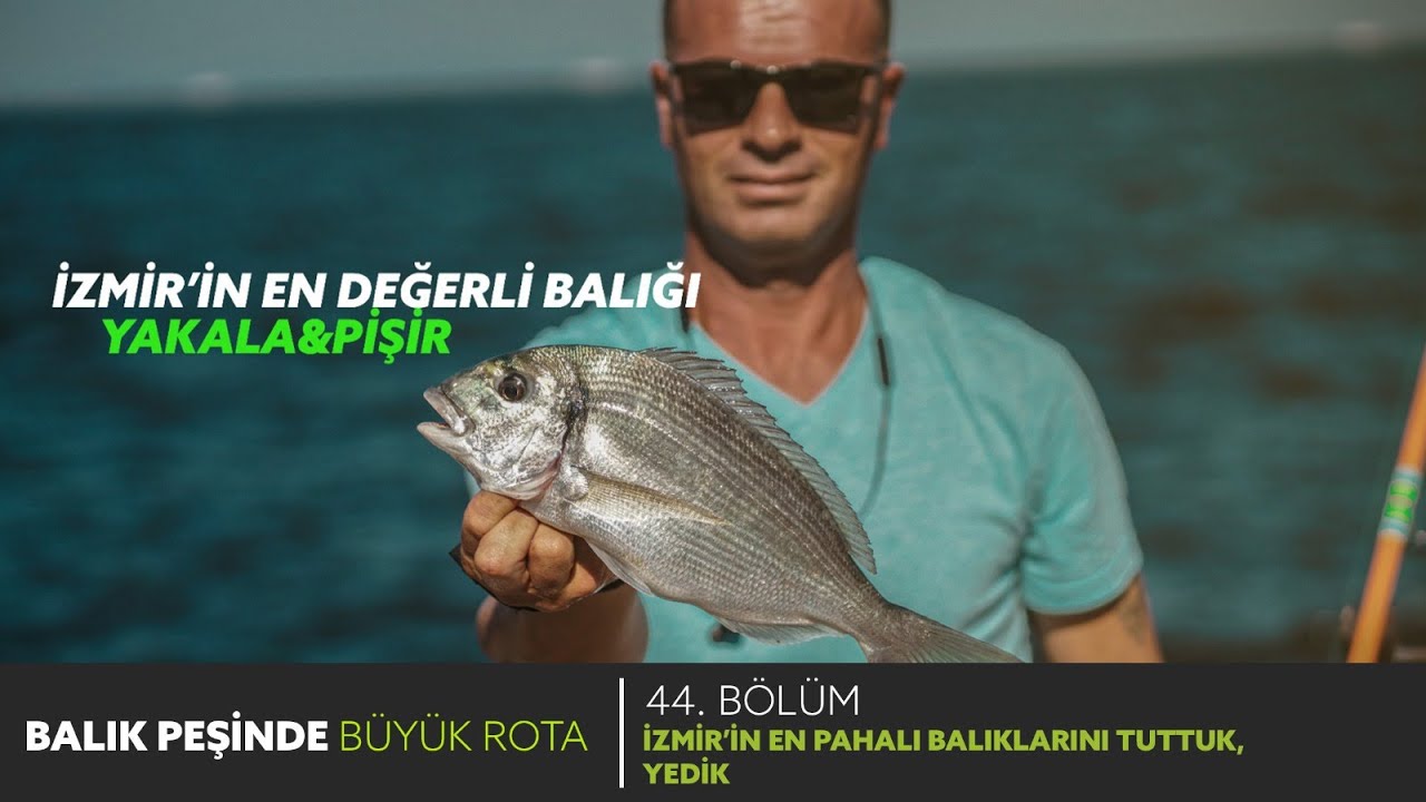 İZMİR'İN EN PAHALI BALIKLARINI TUTTUK , YEDİK. @BALIKZAMANI İsmail Altan.