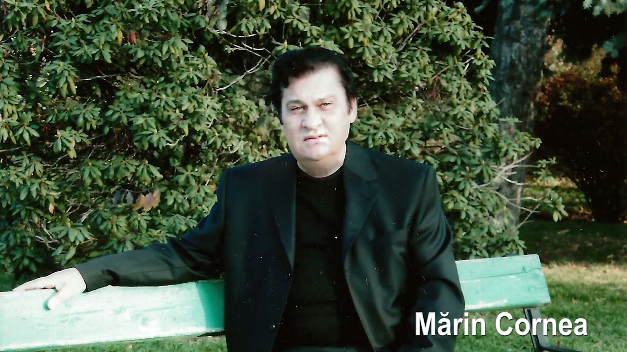 MĂRIN CORNEA - &Icirc;NTR-O ZI C&Acirc;ND N-AVEAM TREABĂ