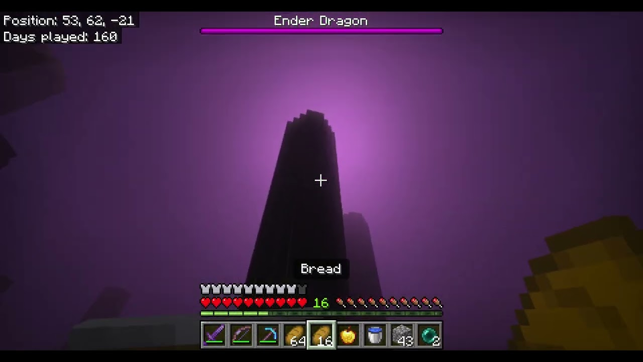 BEATING THE ENDERDRAGON