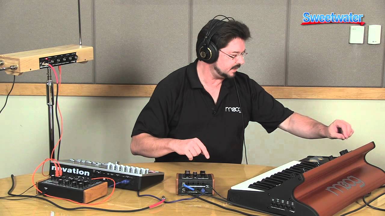 Moog MF-104M Analog Delay Pedal Demo — Daniel Fisher