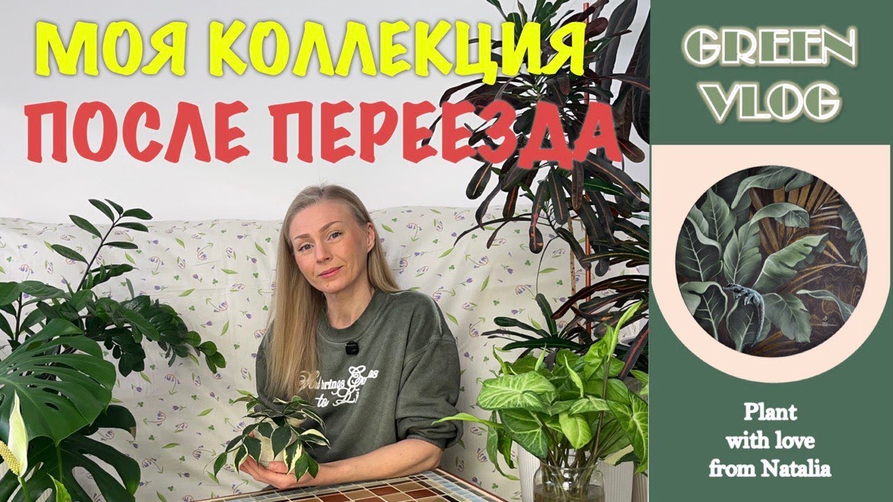 МОЯ КОЛЛЕКЦИЯ ПОСЛЕ ПЕРЕЕЗДА❤️🌿 | ИТОГИ 2025 И ПЛАНЫ 2026