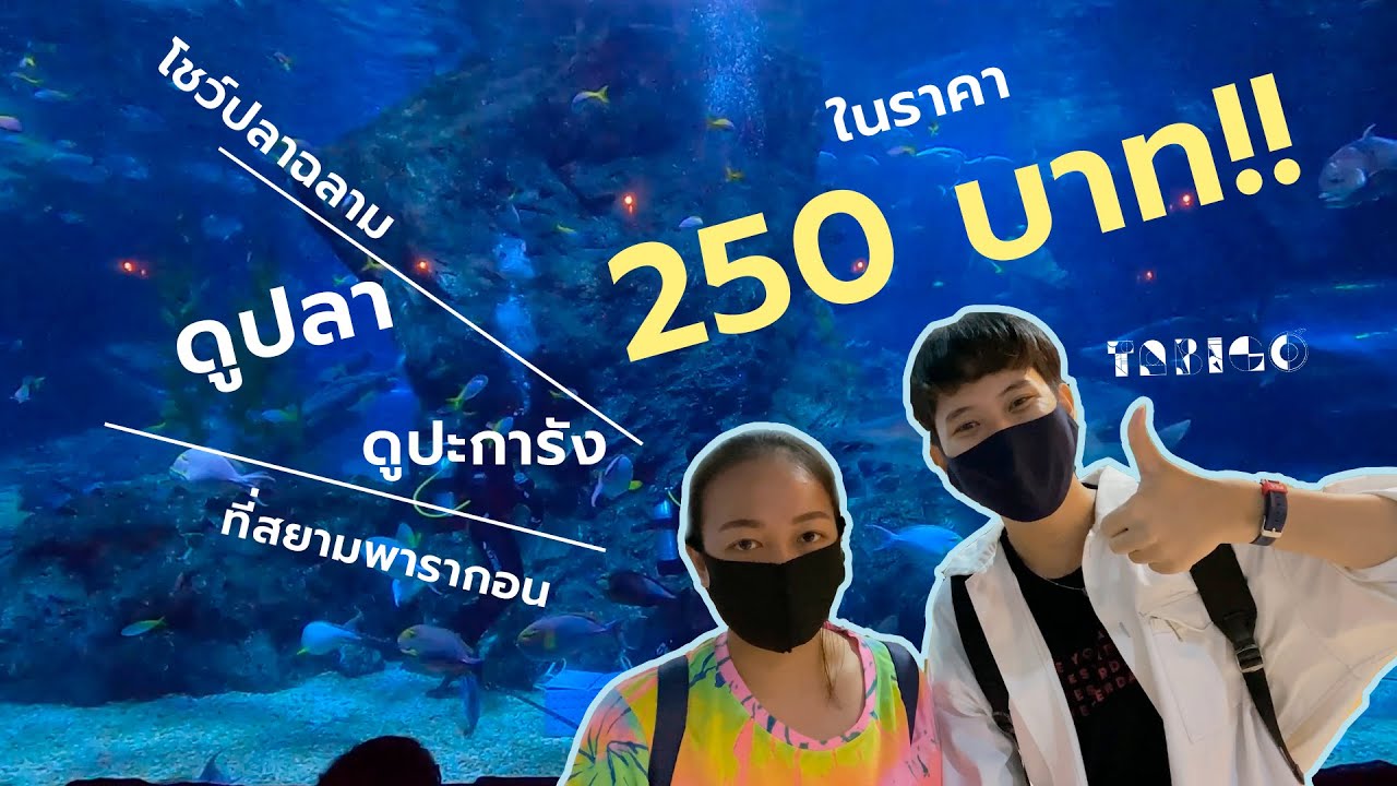EP.1 ราคานี้จริงดิ!? เที่ยว SEA LIFE BANGKOK OCEAN WORLD ในราคา 250 บาท!!