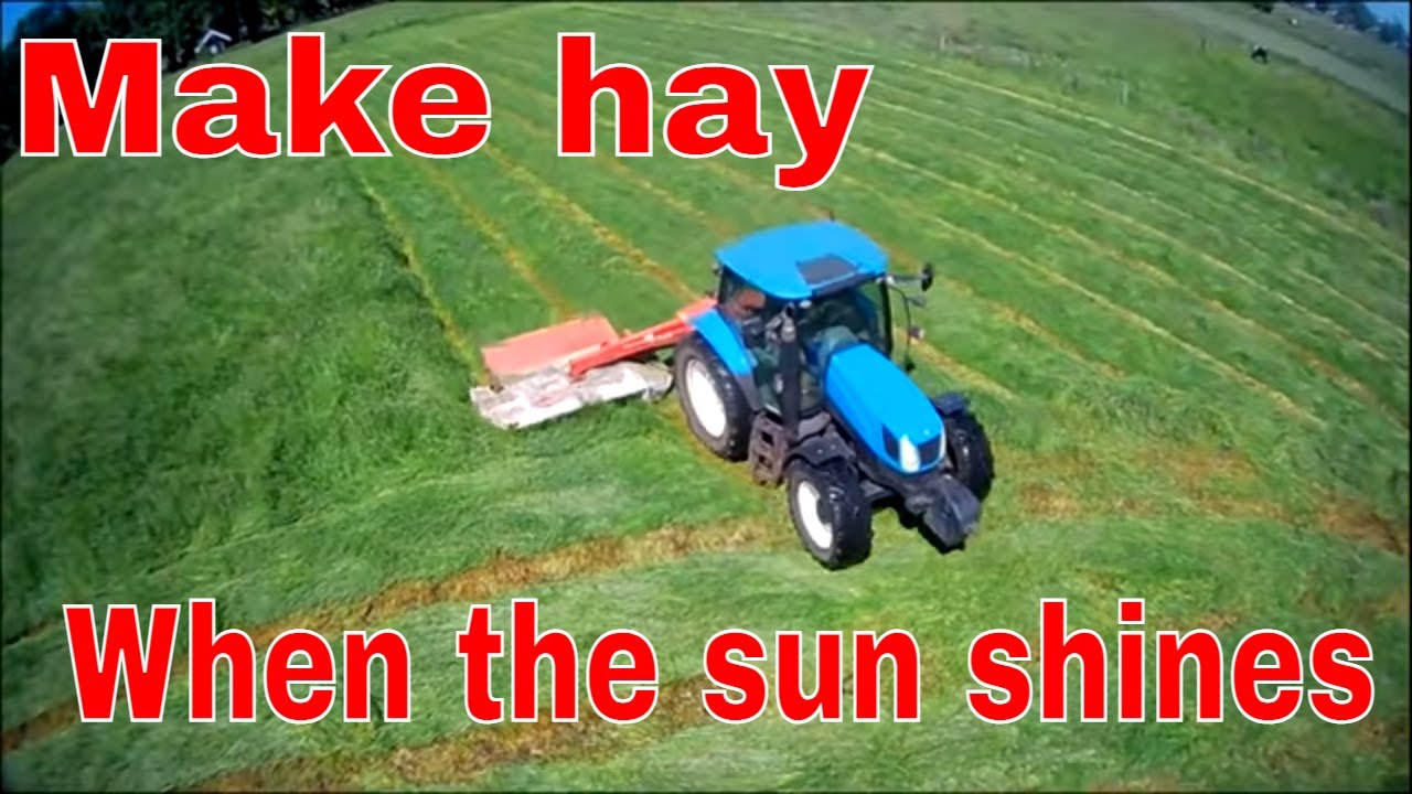 Maaien voor hooi - Mowing for hay