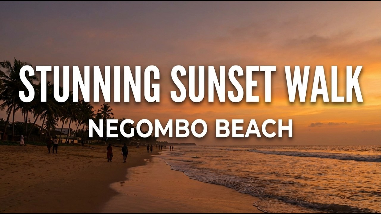 Negombo beach walk around Late evening