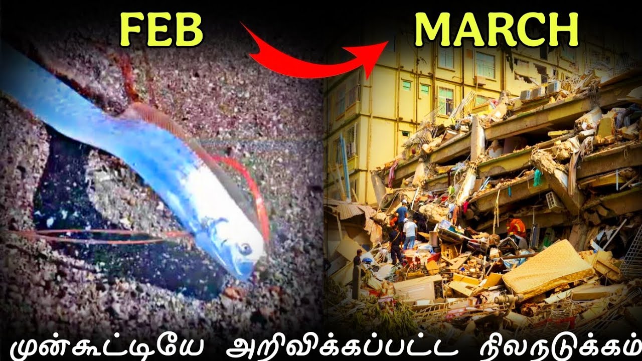 மியான்மர் நிலநடுக்கத்தின் எச்சரிக்கையா? 😮 Doomsday Fish | Myanmar | iR Tamil 2.0