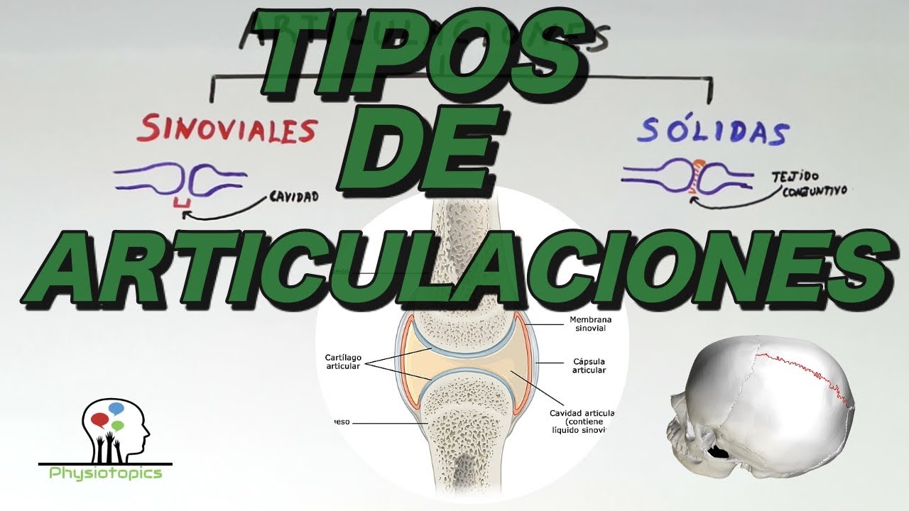 Tipos de Articulaciones