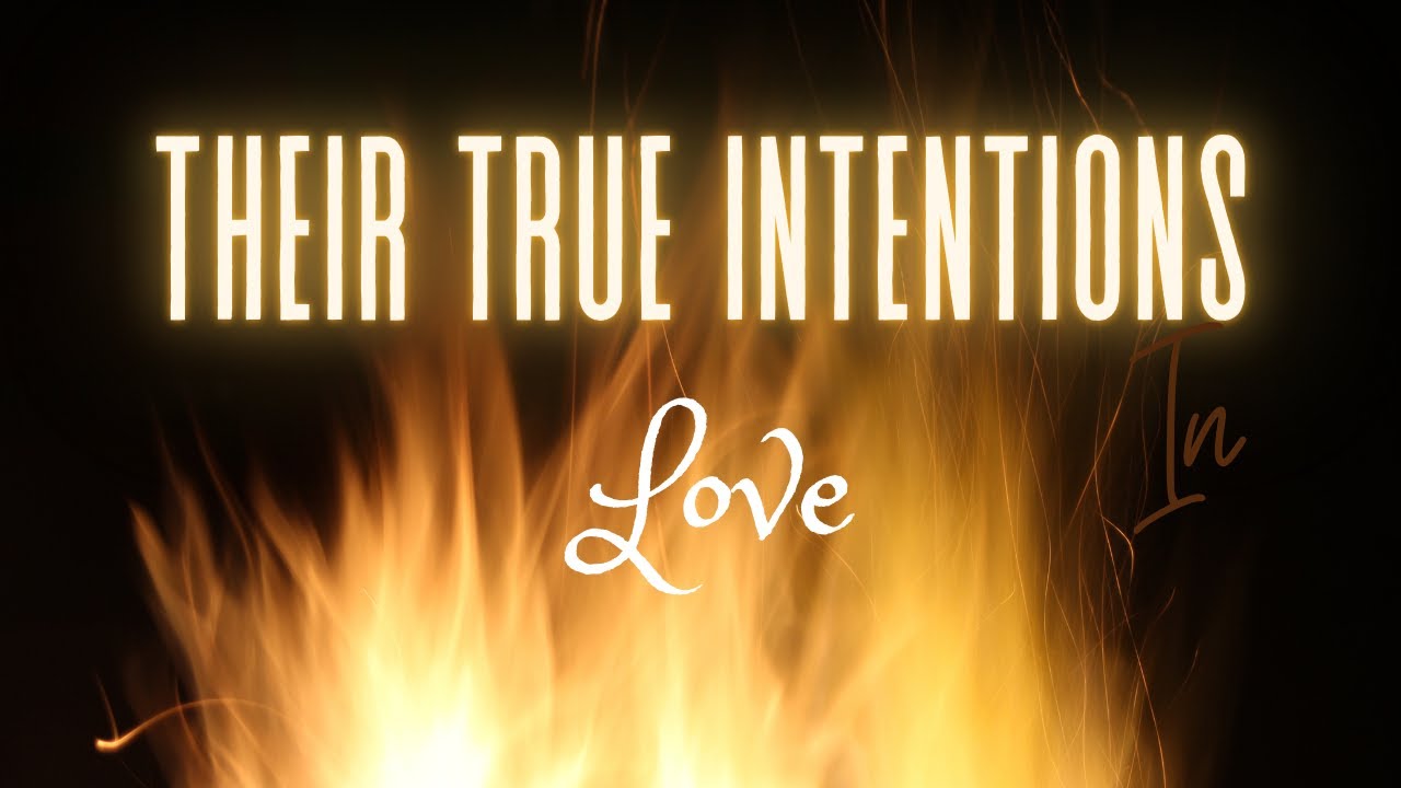 SAGITTARIUS~They're Coming Wiser! A Love Made In Heaven! You Both Love Each Other Equally! February