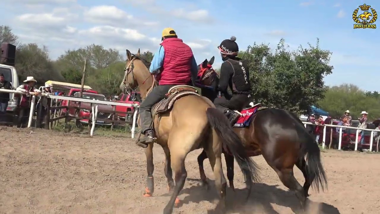La venada vs el bam bam