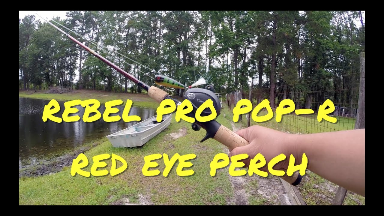 Rebel Pop-R Lure Topwater Pond Fishing