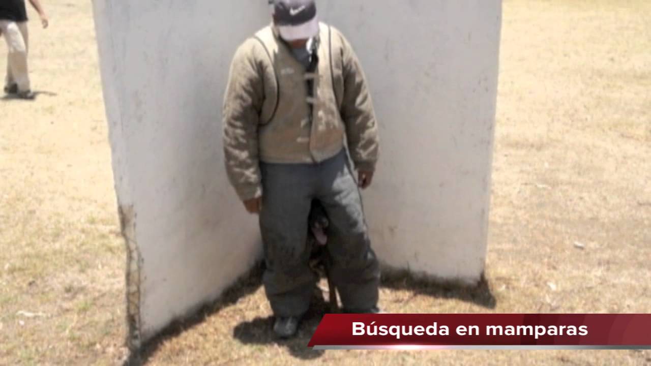 "EBANO" - Rutina de entrenamiento de Ring Frances: Ataques