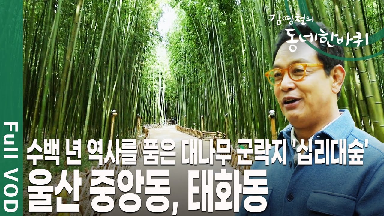 '죽음의 강'이란 오명을 쓰기도 했다?! 이제는 철새 도래지, 생명의 강이 된 태화강! 울산 중앙동, 태화동 [김영철의 동네 한 바퀴 KBS 20191109 방송]