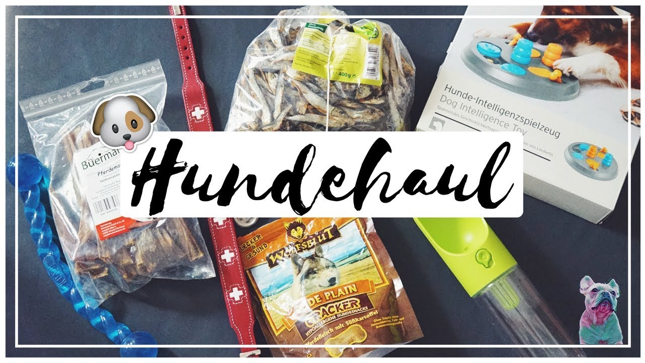HUNDE HAUL -  FRESSNAPF, FUTTERHAUS, DEHNER, ZOOPLUS