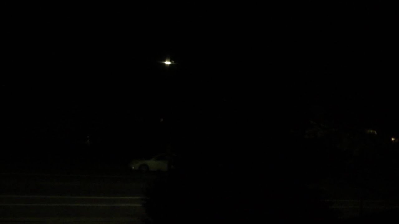 Mockingbird Singing At Night