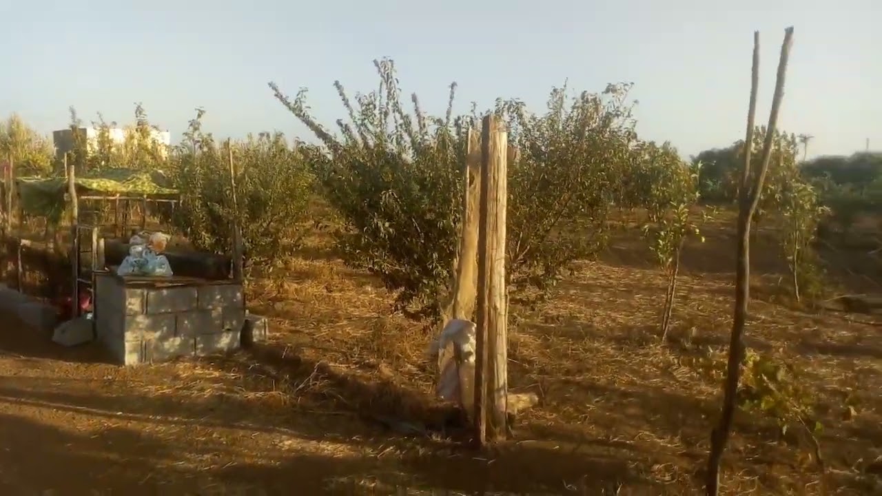 ارض للبيع نص هكتار تيتر احد البراشوة زعير 0666452193 عبدالاله زعري