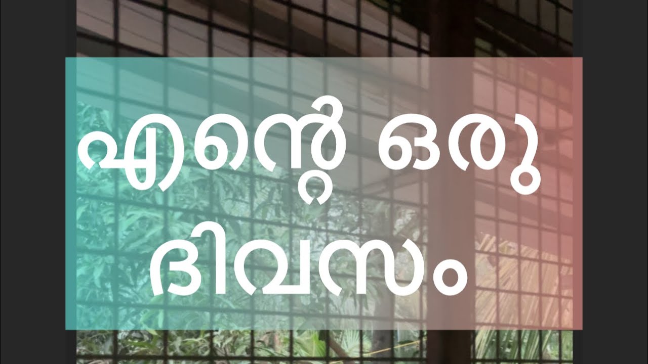 ഉസ്താദ്മാരുടെ ചിലവുള്ള ഒരു ദിവസം 😍#day in life of this day #subscribe #vlog #
