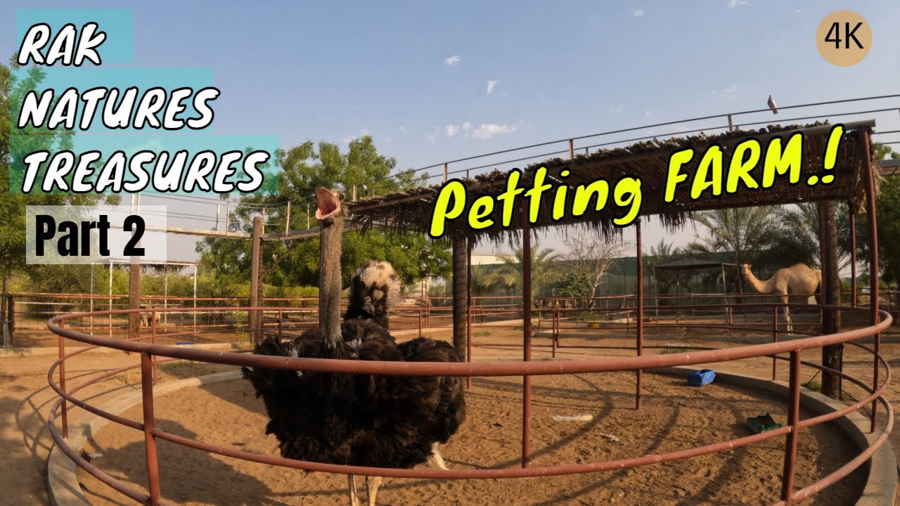 Animal Petting Farm | Ras Al Khaimah Natures Treasures