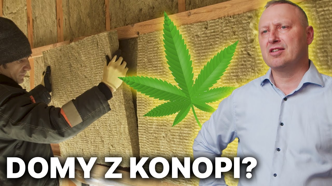 Panele z włókien konopnych - prof. Radosław Mirski, Wydział Leśny i Technologii Drewna UPP
