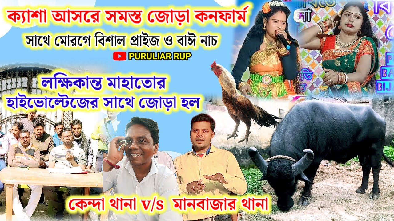 ক্যাশাতে লক্ষিকান্ত মাহাতোর কাড়ার জোড়া কনফার্ম হল,সাথে মোরগে বিশাল প্রাইজ ও বাঈ নাচ।