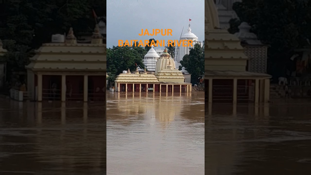 Jajpur Baitarani Flood #short #viral #jajpur #floods