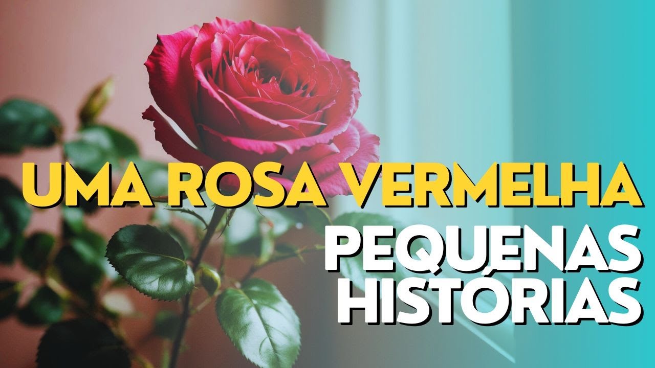 Vale do Amanhecer | Uma rosa vermelha | Pequenas Histórias