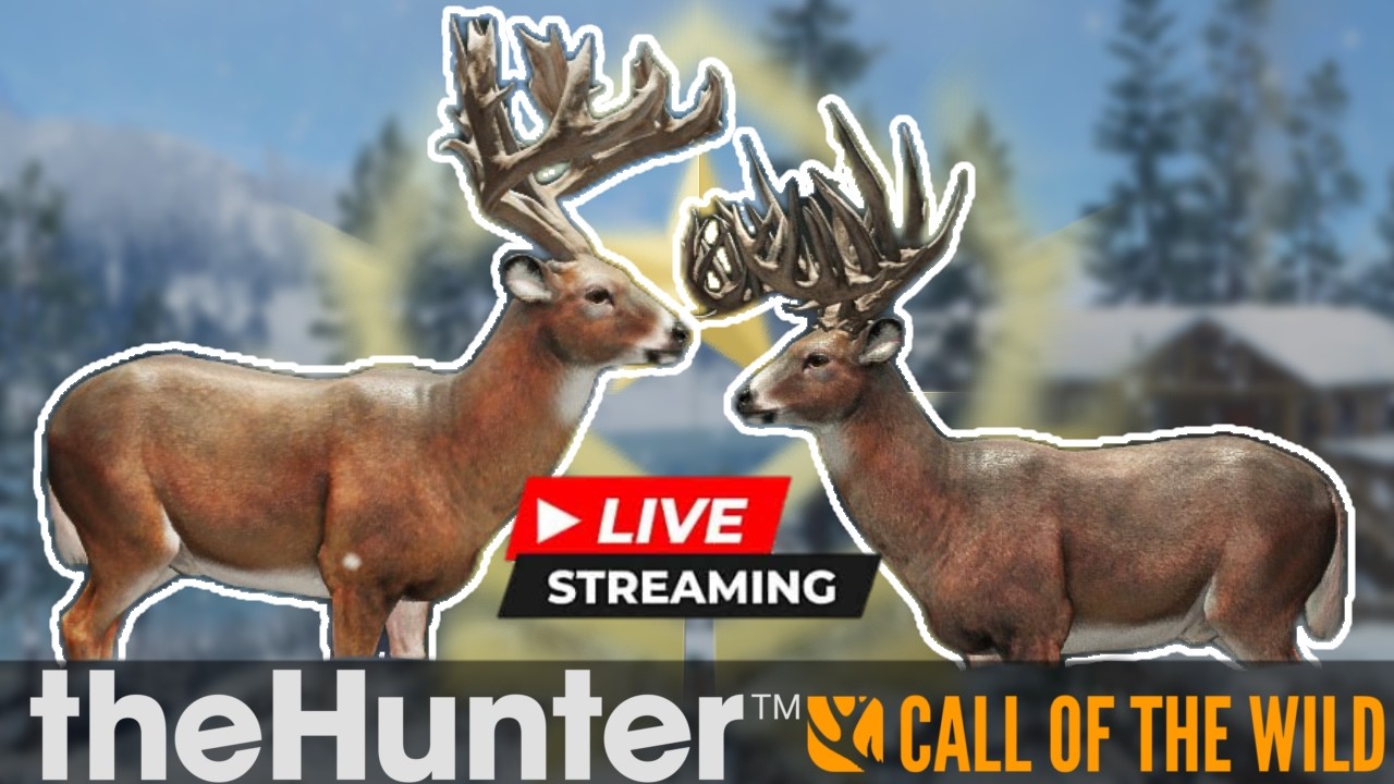 Grind de Cauda Branca em Asky Ridge - The Hunter Call of The Wild