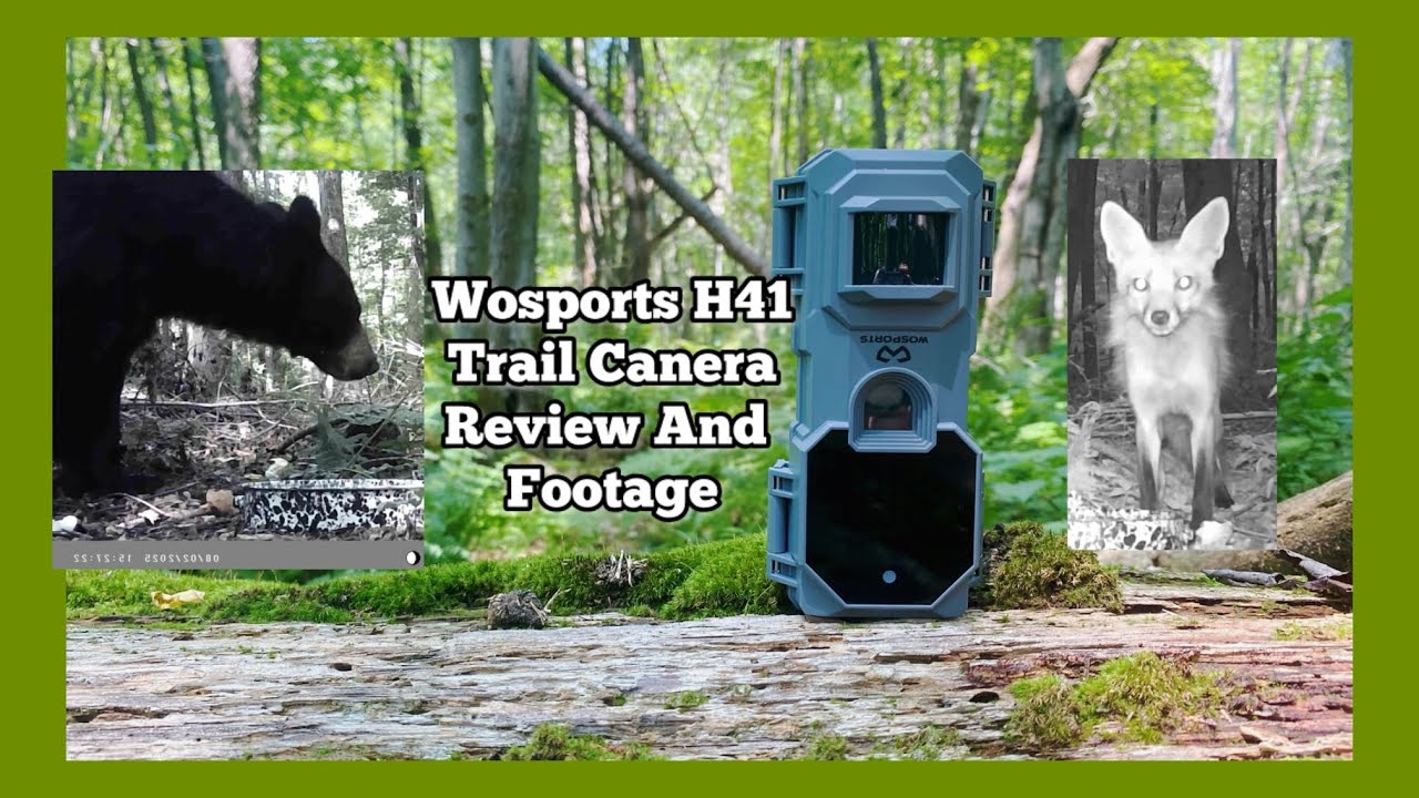 Wosports  H41 Trail Camera Review and Wildlife Footage