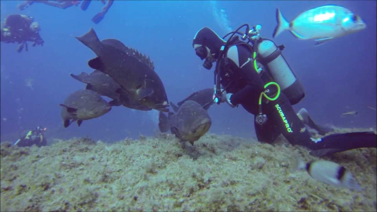 GoPro Hero 3, Bonifacio / Corse, plongées aux îles Lavezzi (Merouville et Tête d'homme...)