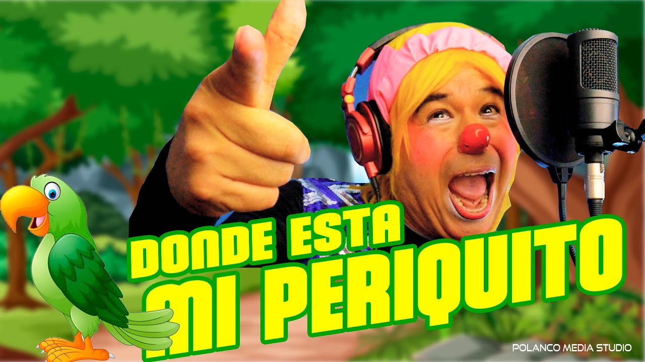 Canción Infantil | DONDE ESTÁ MI PERIQUITO | Sesión Studio