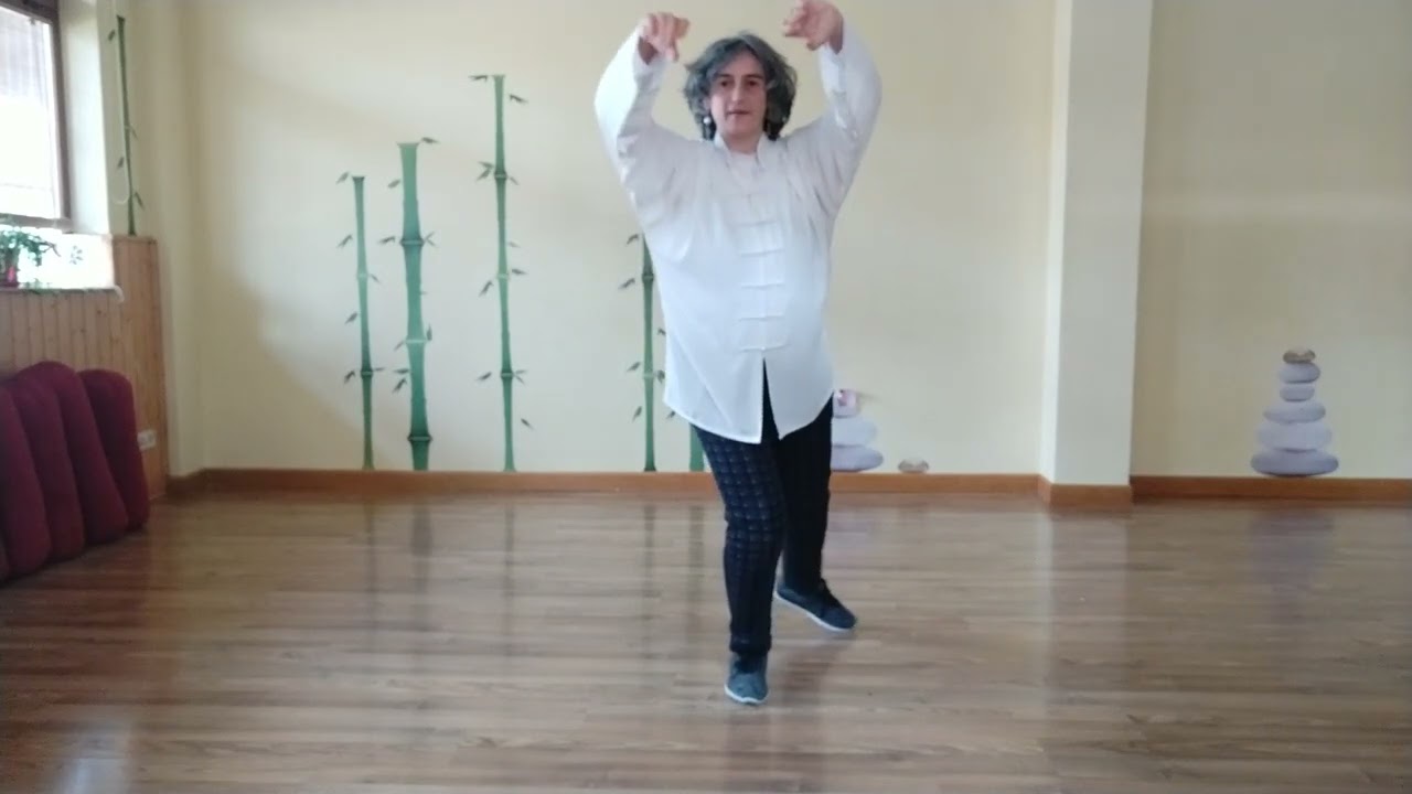 Tai Chi Xin Yi desde el centro Tai San. Movimientos 10, 11, 12, 13, 14 y 15. Solo de frente
