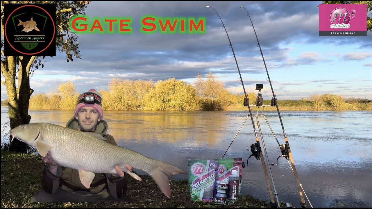River Trent Barbel Fishing A1Pits (GateSwim) Mainline