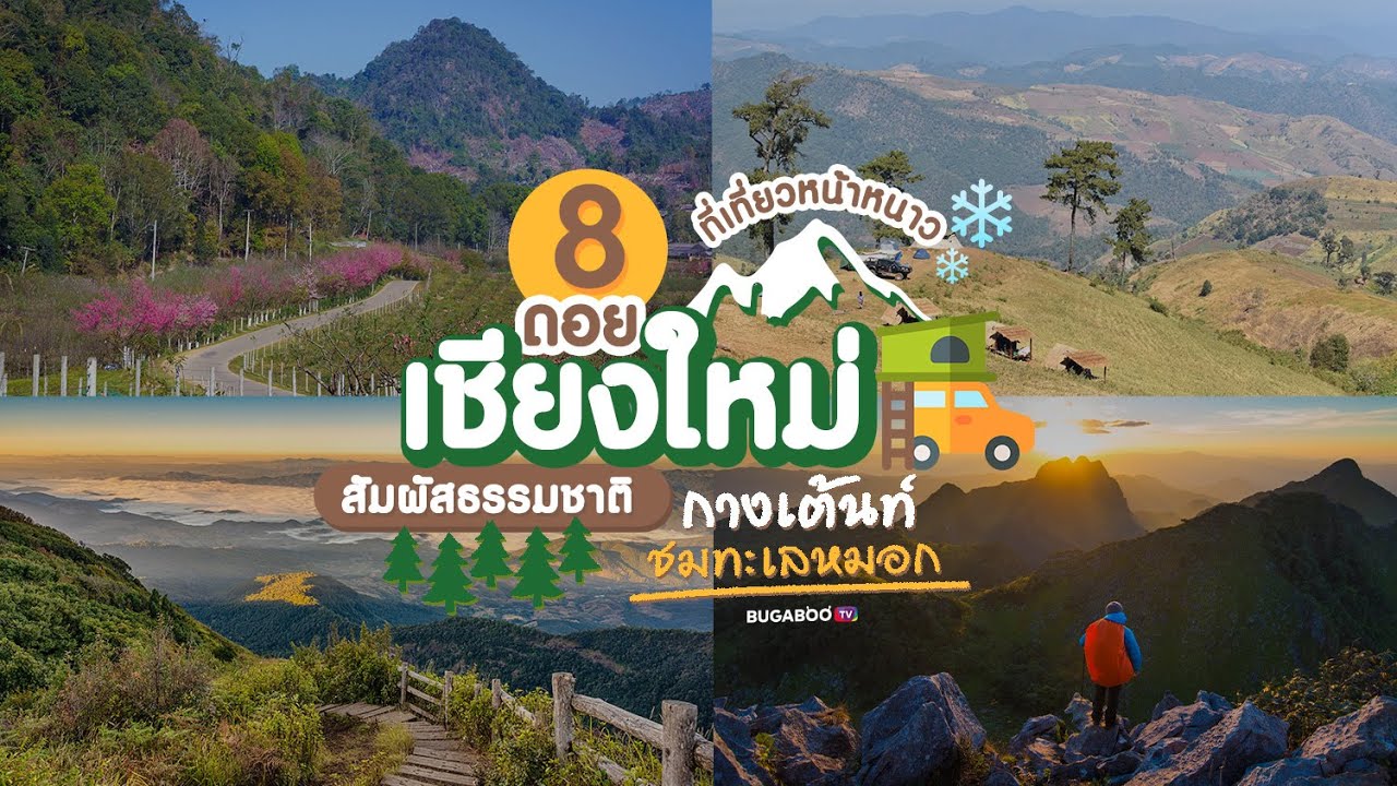 8 ดอยเชียงใหม่ ที่เที่ยวหน้าหนาว สัมผัสธรรมชาติ กางเต้นท์ ชมทะเลหมอก | Bugaboo Travel | Ep.199