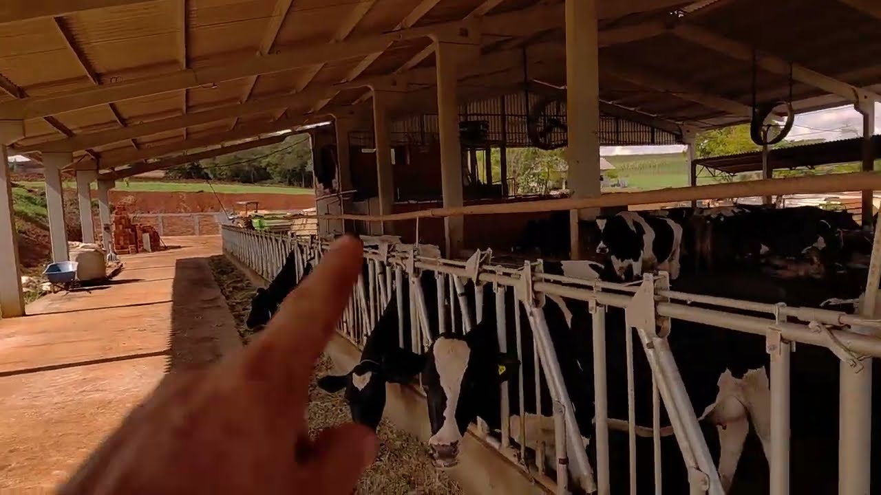 Como ficou o compost barn após dois anos de construção