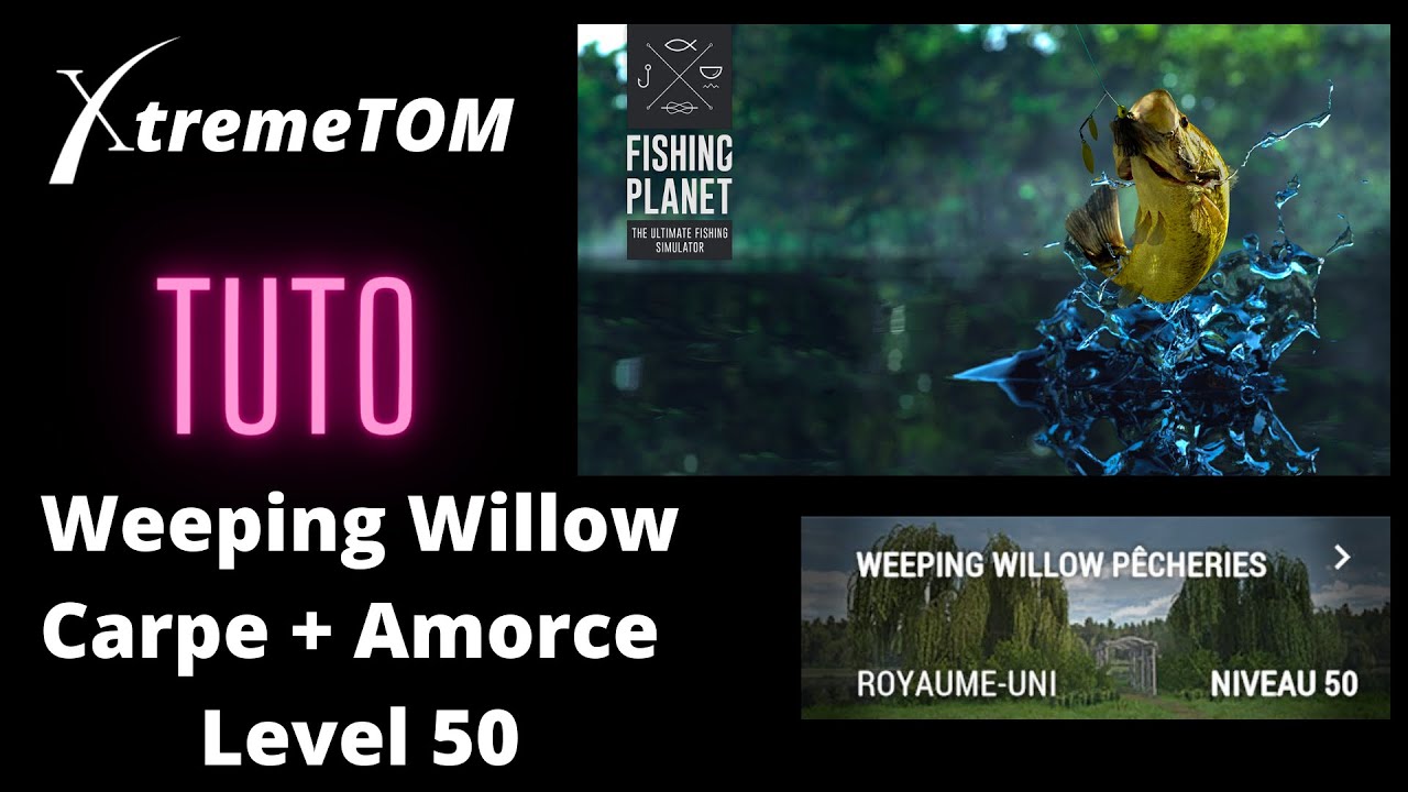Tuto Fishing Planet La Carpe et Amorce Weeping willow Level 50
