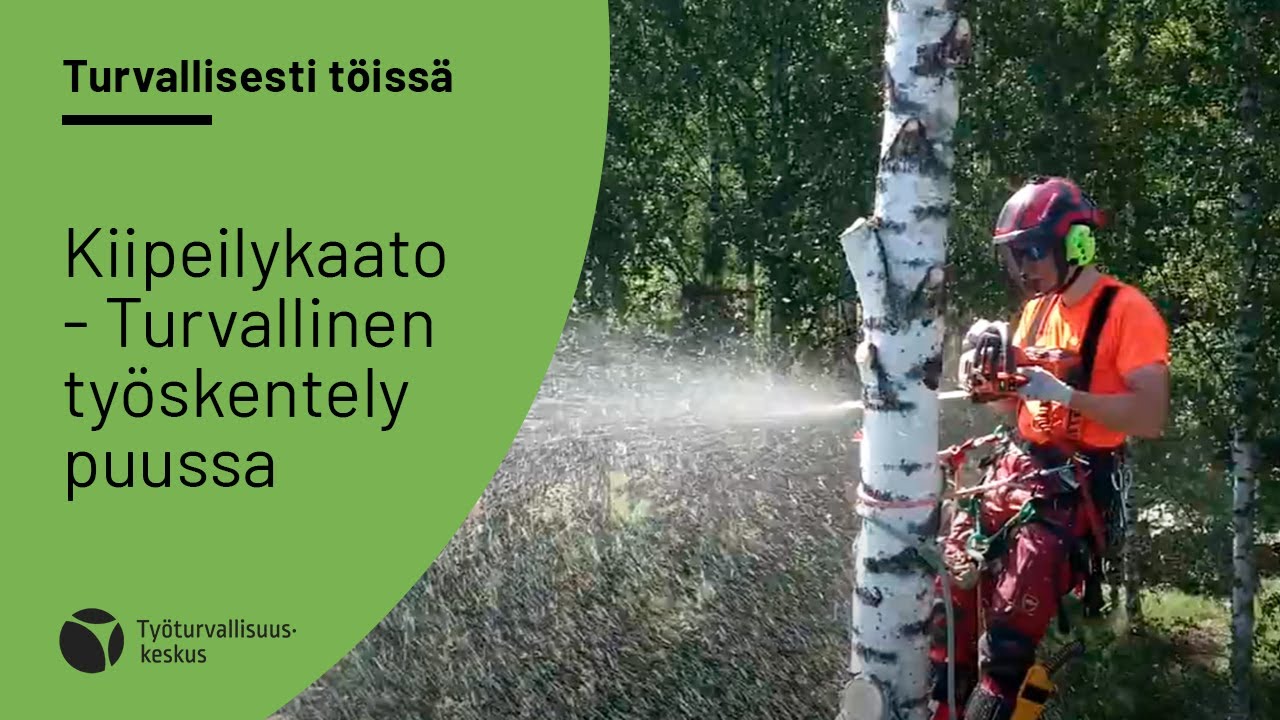 Kiipeilykaato - Turvallinen ty&ouml;skentely puussa