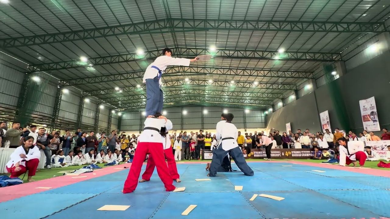 Taekwondo demo 