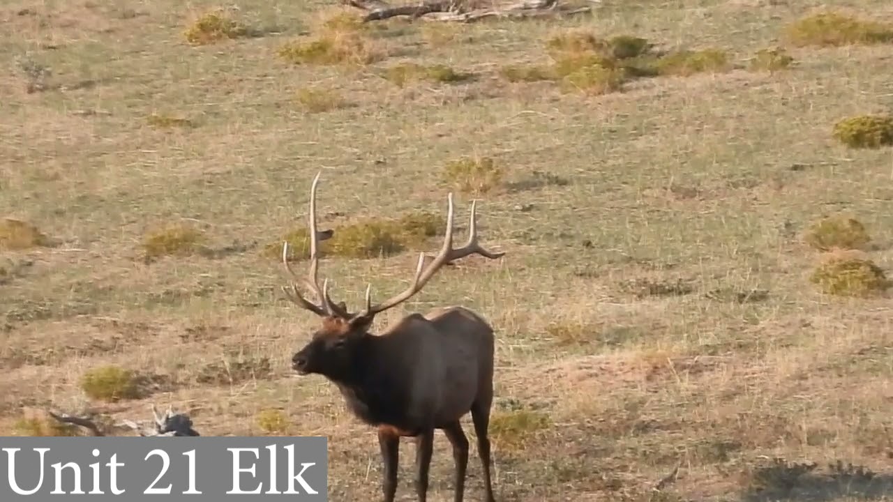 Colorado GMU Unit 21 Hunting Information