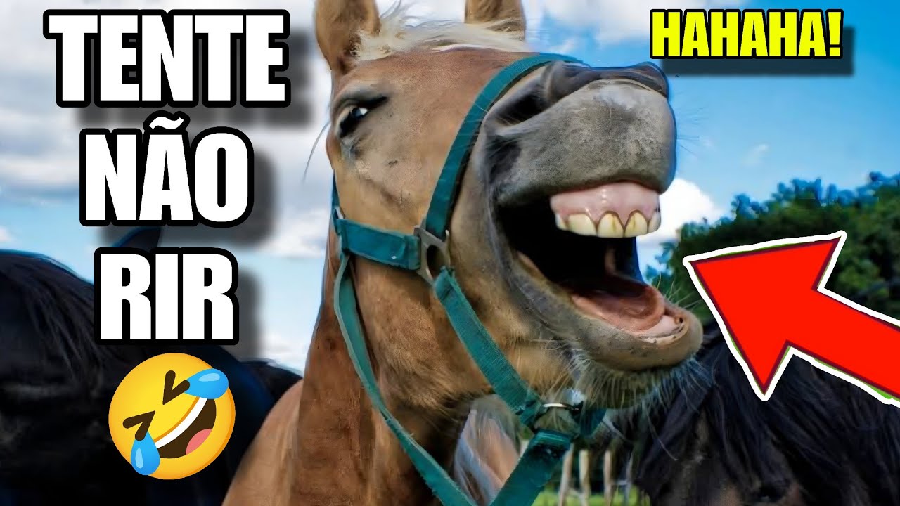 TENTE N&Atilde;O RIR: OS MELHORES MEMES DO BRASIL #videosengracados #tentenaorir #humor #comedia #memes
