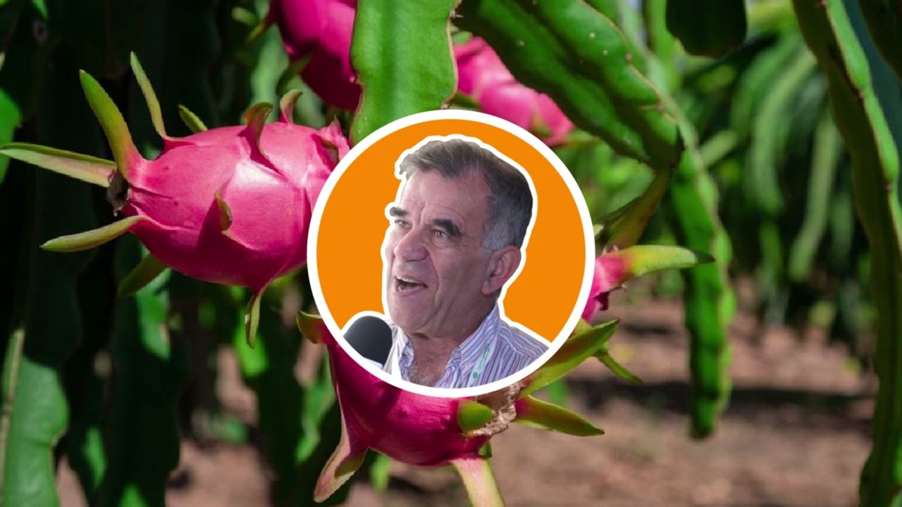 El Potencial de las Frutas Tropicales en Argentina