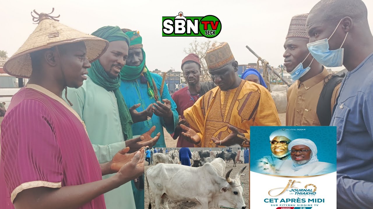 🔴Gamou annuelle de  WADIAL THIAKHO YHIOF YÔR 7 FÉVRIER