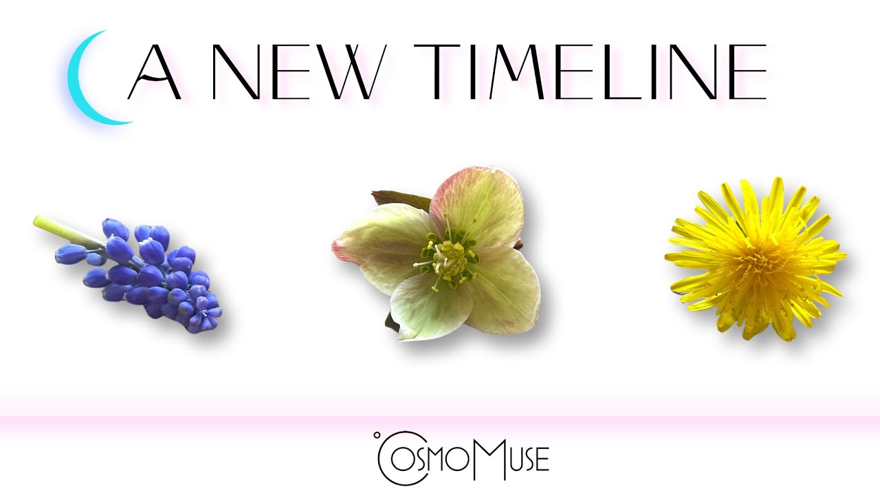 A NEW TIMELINE ⚡️🌬️ What timeline is wrapping up and what timeline are you jumping to?